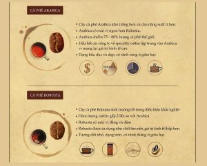 So sánh cà phê arabica và robusta