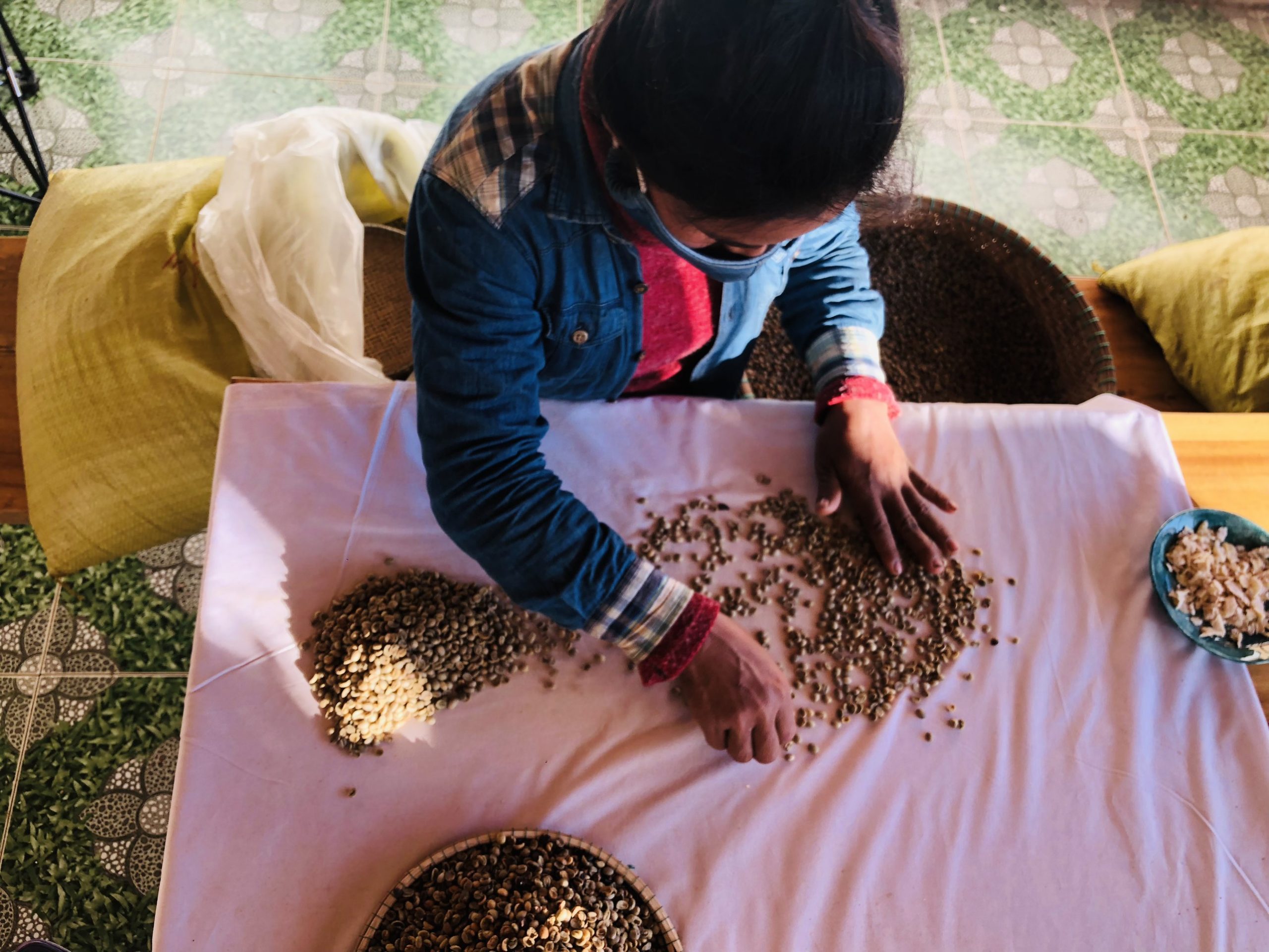 Người vân Kiều và hạt cà phê đặc sản arabica